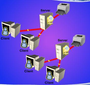 There are two main network architectures: client/server network peer-to-peer network CLIENT/SERVER NETWORK A client/server network is a network in which the shared files and applications are stored