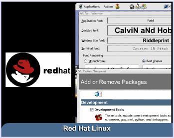the cornerstone of their Windows Server System line of business server products Red Hat Linux was one of the most