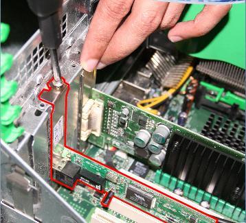 Insert the Network Interface Card into