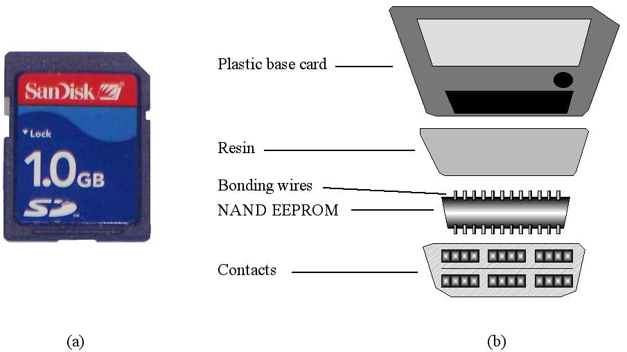 Flash Memory (a) External view of flash memory module and (b)