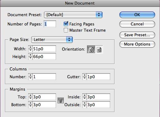 Page 5 Managing Pages InDesign isn t just a single page software package; it is used to create multiple pages inside of a single document.