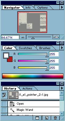 ILLUSTRATOR LESSON 1 Exercise Two: Palettes Displaying and Hiding the Palettes: Adobe Illustrator includes a number of palettes to help students monitor and modify their work.