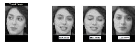 face space with the positions of the known individuals. (A) City- Block Distance Classifier. (B) Euclidian Distance Classifier (C): Chebyshev Distance Classifier (squared).