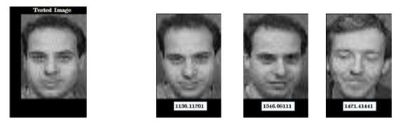 The three images in the right identified from the trained Database. VI.