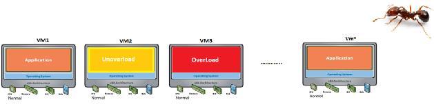user request. In this module, Ant move in backward direction, Ant select the particular VM. In the third step Ant determine the under loaded host and replace VM. VI.