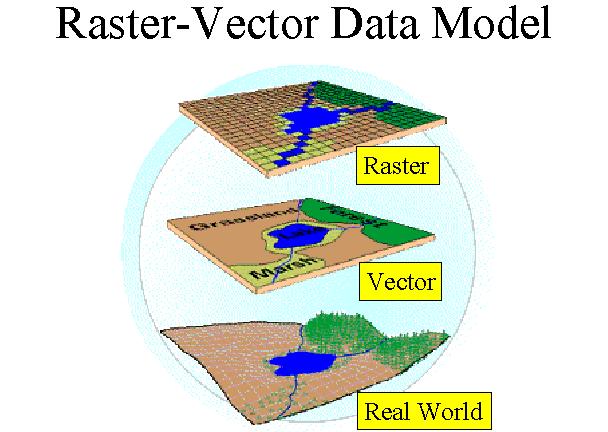 Raster \ Vector