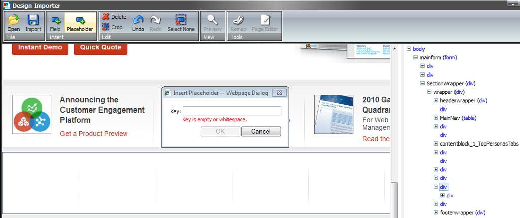 2. In the Design Importer, in the Insert group, click Placeholder. The Insert Placeholder dialog box is displayed.