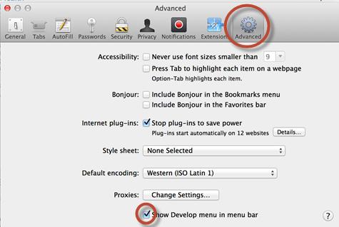 your menu bar and will allow you to delete cache and browsing history (Part 1 above).
