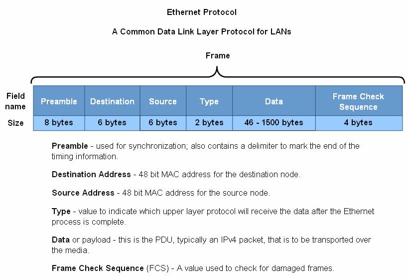 Ethernet Protocols for LANs