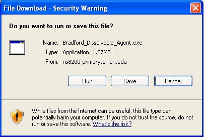 You will be presented with the File Download Security Warning screen shown in Figures 6a and 6b.