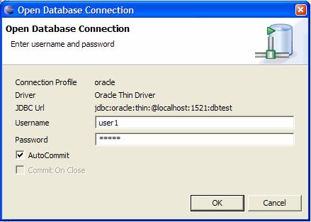 Figure 14. Database Connection Wizard 2. Either accept the default password provided when the connection profile was created or enter a new password. 3.