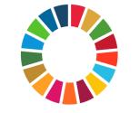 The Global Sustainable Development Goals MDGs