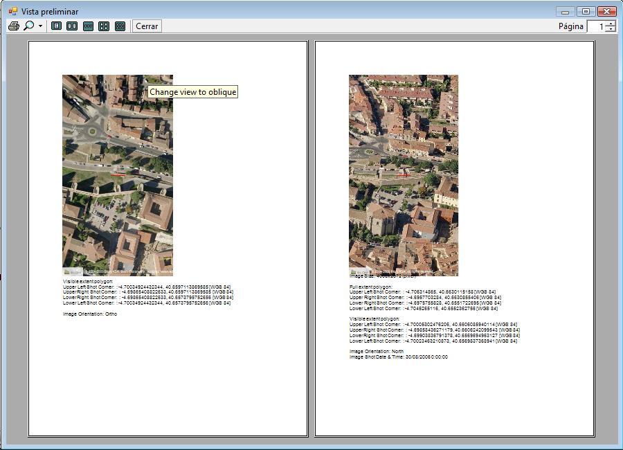 2. The Print preview dialog opens. Click in the options to see the print at different zooms o layouts.