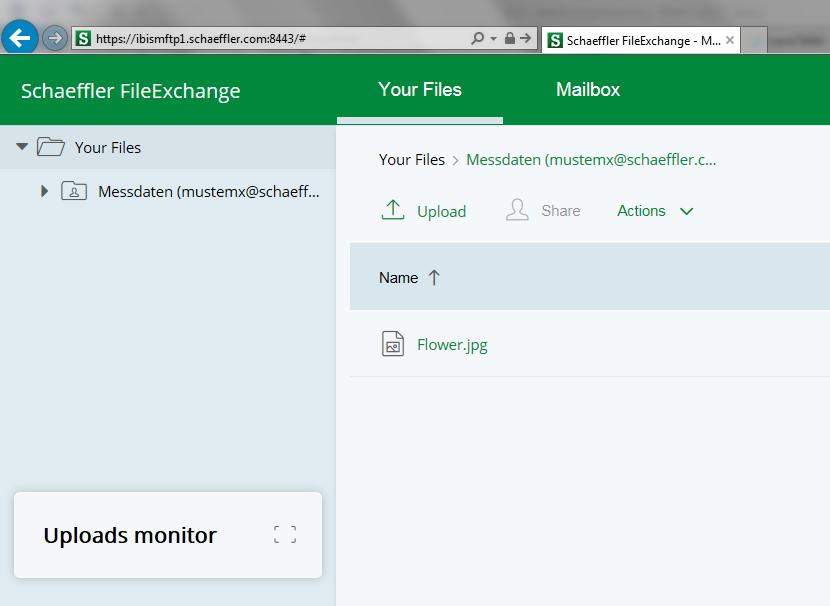 As soon the uploading has started, you can monitor the file upload by using the Uploads Monitor