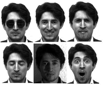 Face Recognition using SURF Features and SVM Classifier 7 individuals with different facial expression.