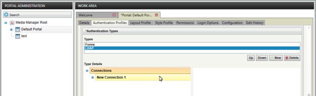 To add an LDAP connection: 1 In the Authentication Types section of the Authentication Profiles tab, click the LDAP type you added