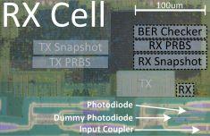 Dual-Core ISC-V Processor with Vector