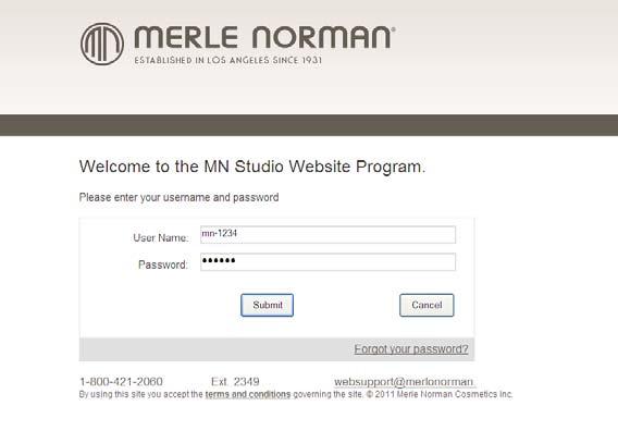 MN Studio Website Program 1. Introduction Welcome to the new website program! The MN Studio Website program allows you to create your own website with customized information.