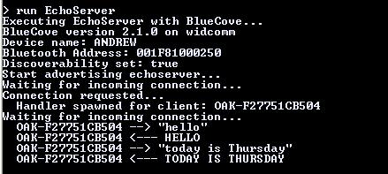 Figure 1. The BlueCove Echo Server. The client first sends the message "hello", and receives back "HELLO".