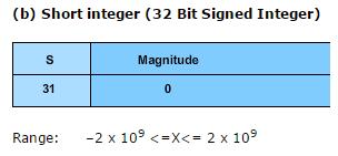 Binary Integer Data Type Below figures show binary