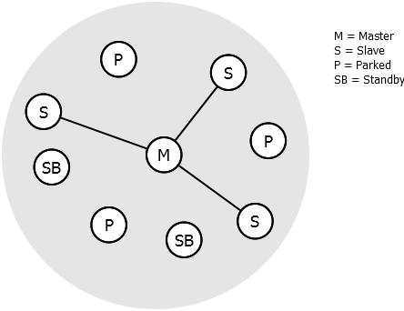 sequence). V sieti vystupujú zariadenia s rôznou rolou, ktorú hrajú v synchronizácii. Asi najdôležitejšia rola piconetu je master, na ktorý sú napojené ostatné piconety, tzv. slave.