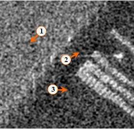 (a) CSK intensity image of June 15, 2011 acquired over aportarea.(b)cskintensityimageofjune19,2011.(c)coherenceimageofjune15and19,2011.