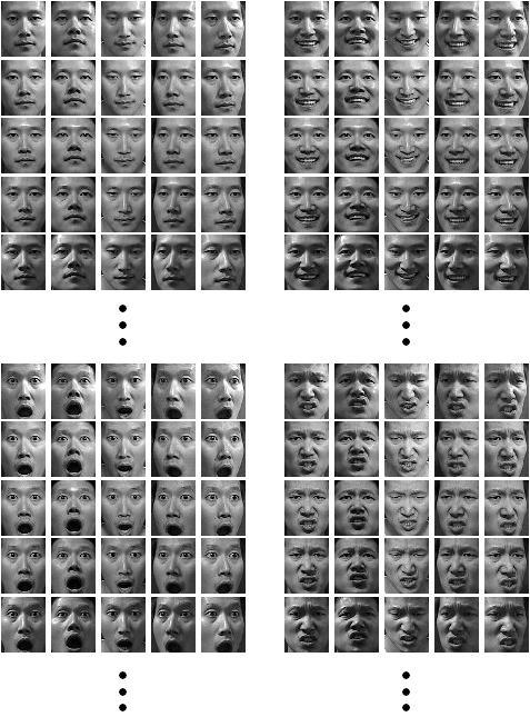 for evaluating the robustness of face recognition algorithms to