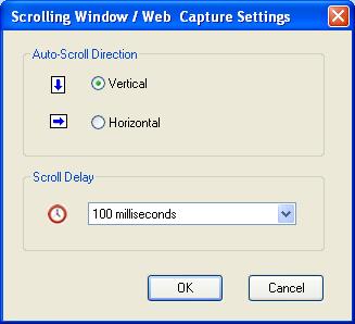 Multiple objects Check to capture more than one object, such as cascading menu blocks, buttons and windows.