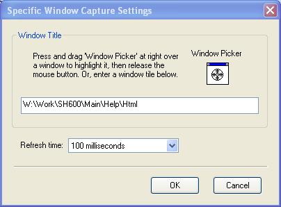 Active window Capture the currently active window immediately. The currently active window is the one that gets the focus, usually the window title bar is highlighted.