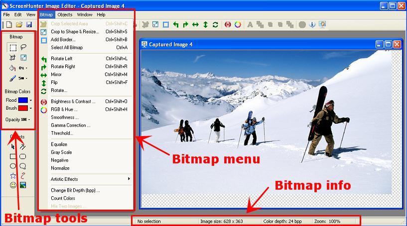 Bitmap Editing 1: Bitmap Tools A bitmap (or raster) image is one of the two major graphic types (the other being vector objects). A bitmaps is composed of small colored dots called pixels in a grid.