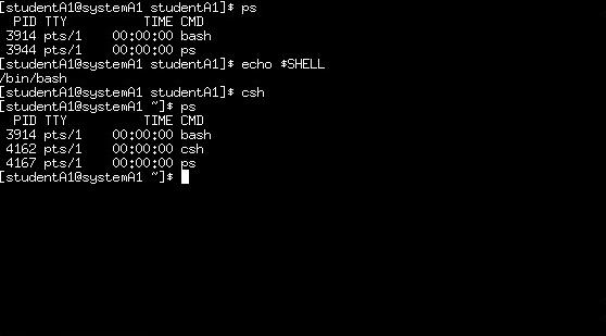 Step 3: The C Shell 1. Switch to the C shell. At the prompt type: csh What does the prompt look like? How is it different from the bash shell? 2.