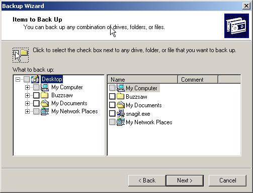 6. Click the Back Up Selected Files, Drives, Or Network Data button, and then click Next.