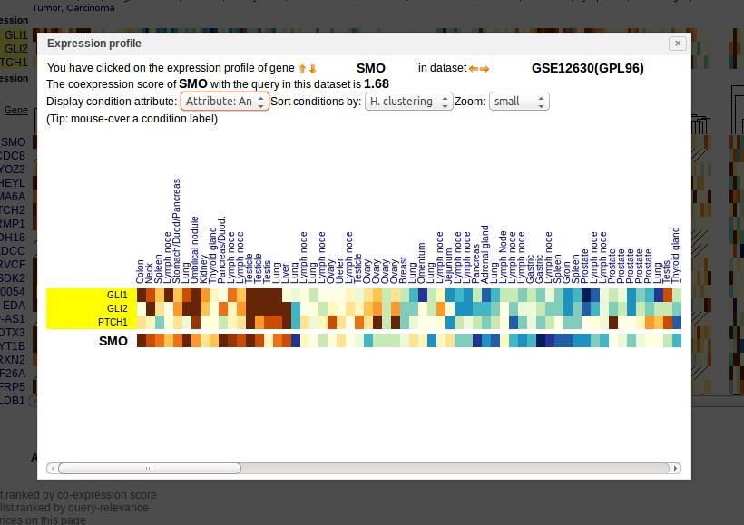 5.0 Expression Zoom-In Page 2 3 This view shows the conditional gene expression in a given gene (SMO) and dataset (GSE2630). Each dataset is made up of a set of conditions.