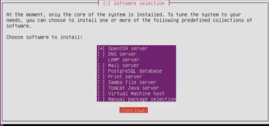 3. Power on the Ubuntu VM and select region, language type, and keyboard type. 4. Select the OpenSSH server in the software selection menu. 5.