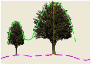 MatLab tools are adopted to analyze the measure results. 3. TREE HEIGHT MEASUREMENT METHOD WITH LIDAR The flowchart of the tree height measure method with LiDAR is given in Figure 2. Figure 4.