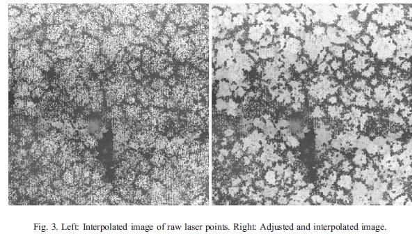 Figure 35. Lidar height data of a forested area, illustrating the difficulty of single-tree crown identification. From Brandtberg et al. (2003). Figure 36.