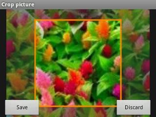 4. To adjust the crop box size, press and hold the edge of the box. When directional arrows appear, drag your finger inward to or outward to resize the crop box. 5.