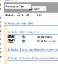 You can also choose the number of columns to show by dragging the splitters between the movies in the views: Grouping the Views To quickly group a view by a field; click the Group By -button in the