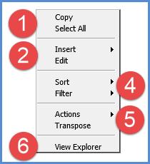 formats. Or, right-click the caption of a measure item in a Grand Total row or column to work with values in that area of a view, such as by applying sorts and filters to them.