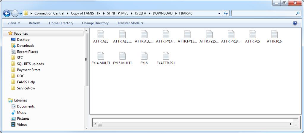 Download File with Host Explorer FTP Client (cont d) 3.