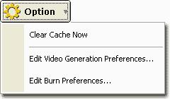 Basic Authoring 15 Clear Cache Now entry remove the cache for the current project, and hence freeing up more space on your hard disk.