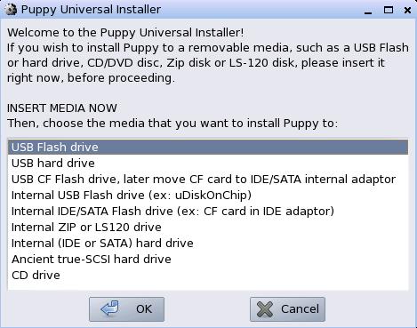 Installing Puppy on USB Flash Disk - 7 Select USB Flash Drive from the list and