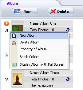 Create and Delete Album --have a right-click on the slideshow list panel, you can choose to create new album, delete selected album, view the properties