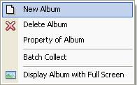 You can also right-click in the Slideshow List area and choose New Album in the pop-up menu as the following.