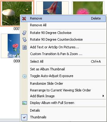 Select all photos in the File List by selecting any single photo and right-clicking the Select All from the popup menu as the following.