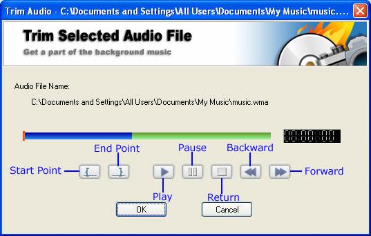 You may add background music for all your photo albums in the Organize Photo window. Please do not use any music with license because this program does not support any encrypted music files.