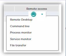 Follow these steps to view those computers on which Panda Remote Control is installed: 1. Click the Computers menu. 2.