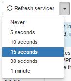 6.4.4 Refreshing services Use the options in the drop-down menu to set the frequency to refresh the list of services. 6.4.5 Filtering services Use the filtering tool to search for specific services.