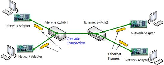 The ports of a switching Hub can also be connected to the ports of another switching Hub.