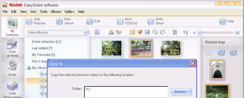 Viewing pictures 6 In the Viewer pane, select the pictures you want to copy, then drag and drop them to the copy location (memory card or USB device) in the Drag and Drop Zone.